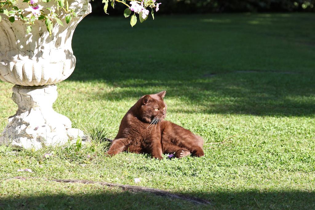 Strandhaus Ott Hagnau Dış mekan fotoğraf